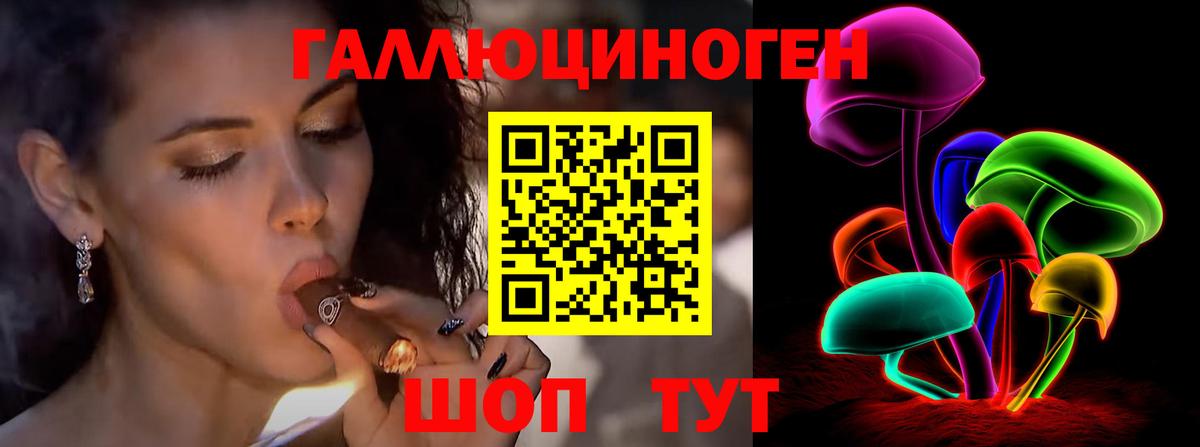 Красноярск  Псилоцибиновые грибы Psilocybe  Вход с VPN 