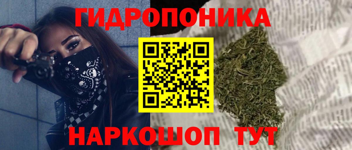 Марихуана конопля  Шишки марихуана Bruce Banner  Канабис семена  Красноярск  Вход с VPN 